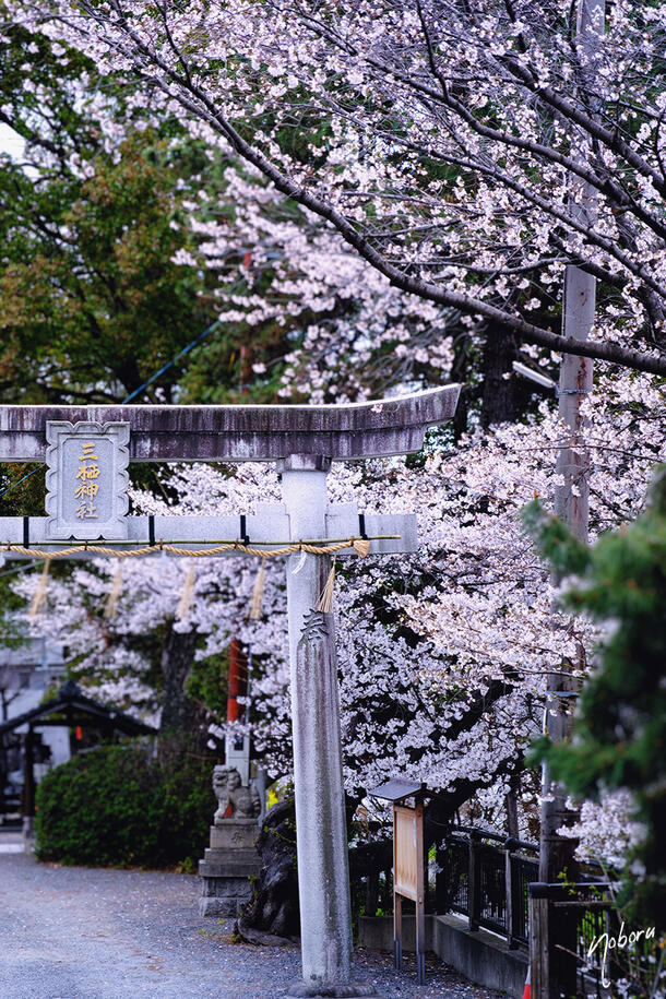 DSCF5144.jpg