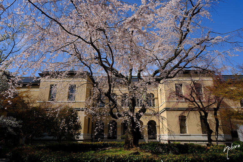 DSCF5157.jpg