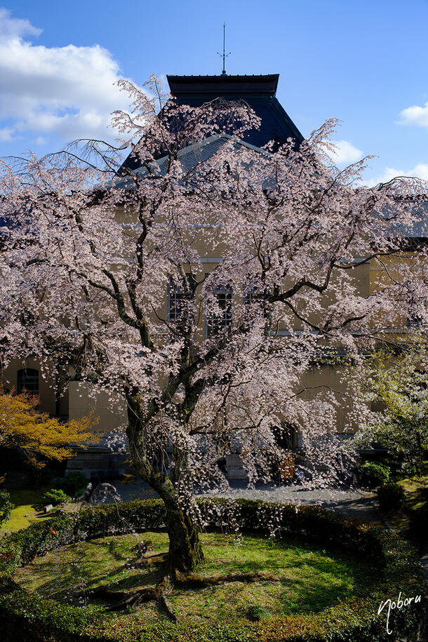 DSCF5189.jpg