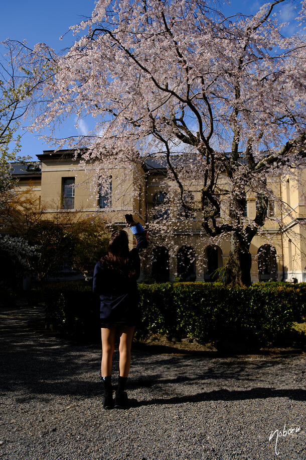 DSCF5221.jpg