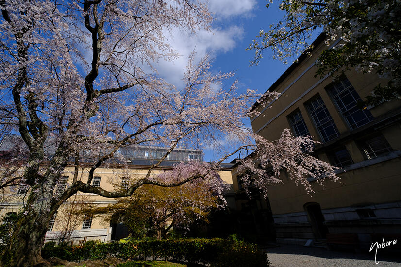 DSCF5237.jpg