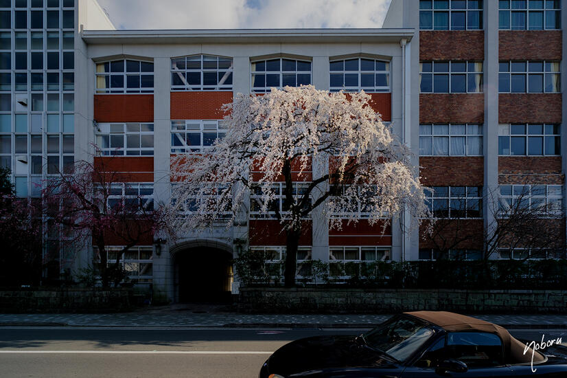 DSCF5242.jpg