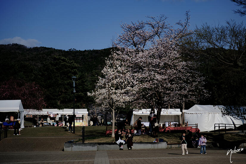 DSCF5245a.jpg
