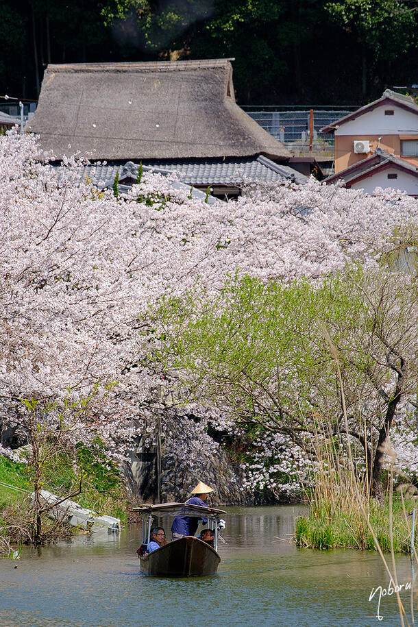DSCF5445.jpg