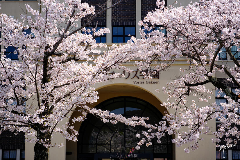 DSCF5508.jpg