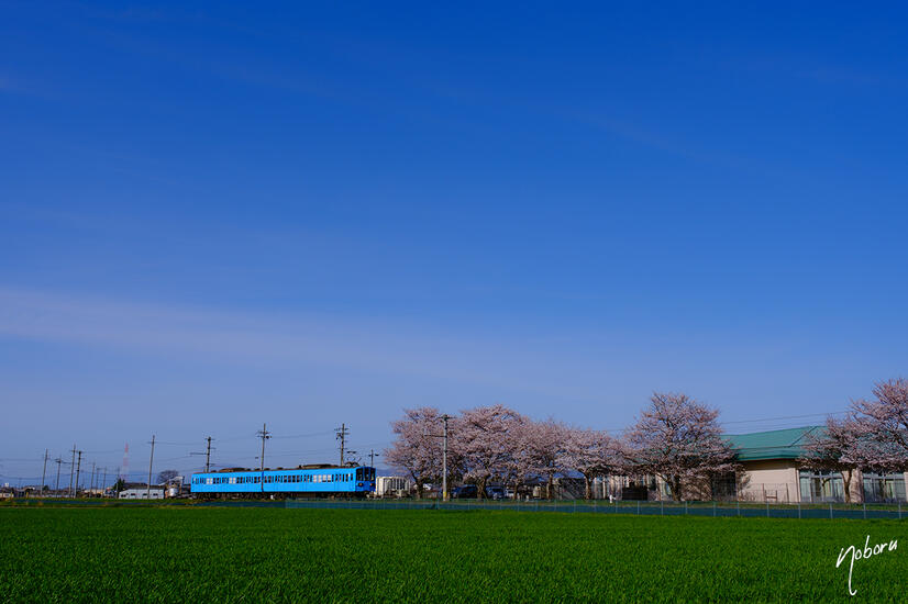 DSCF5538.jpg