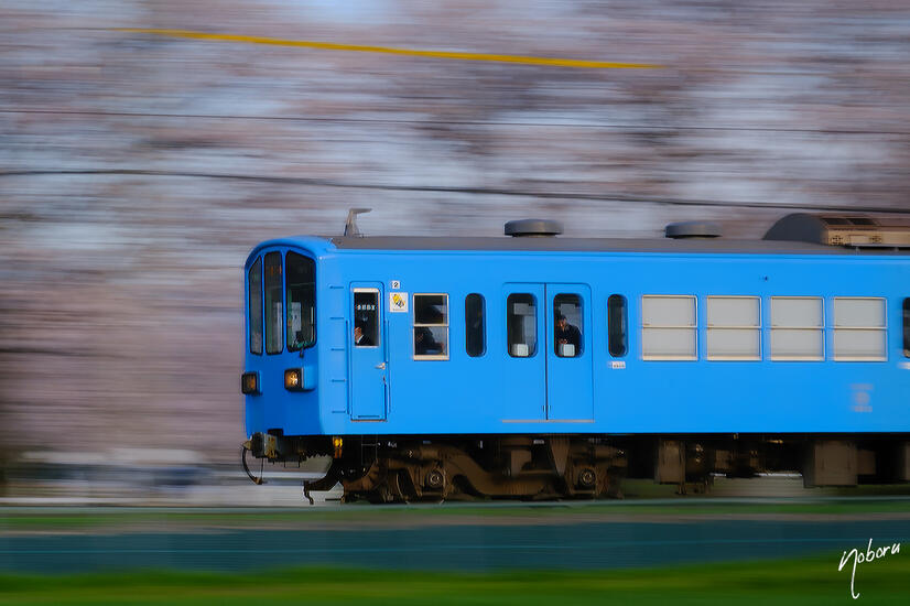 DSCF5635.jpg