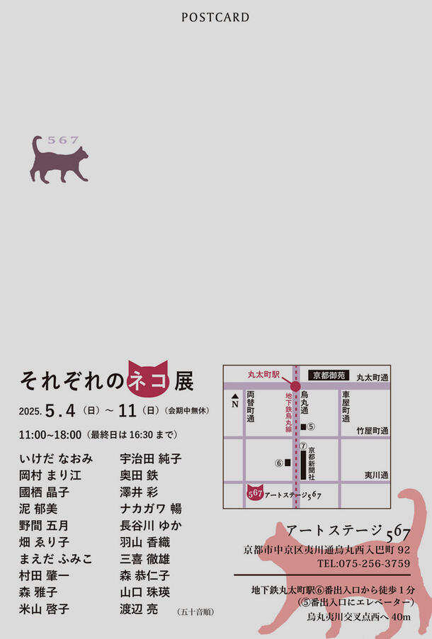 20250504_neko02.jpg
