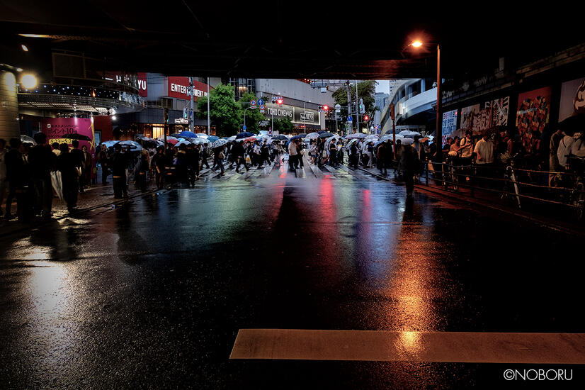 DSCF6060.jpg