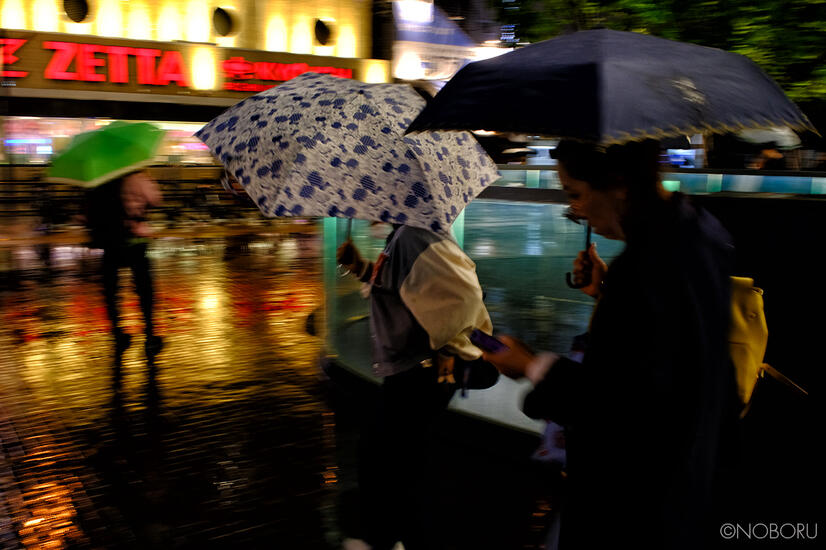 DSCF6287.jpg