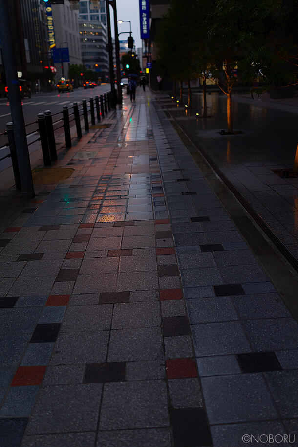 DSC03503.jpg