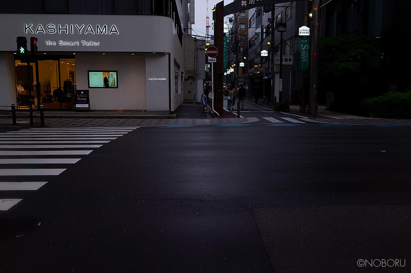 DSC03505.jpg