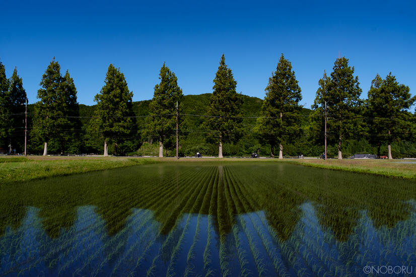 DSCF6455a.jpg