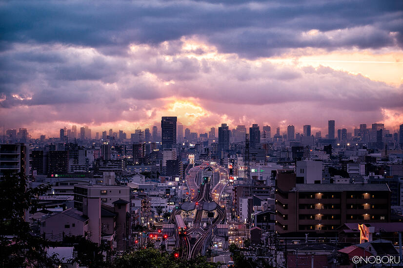 DSCF6680-RAF_DxO_DeepPRIME.jpg