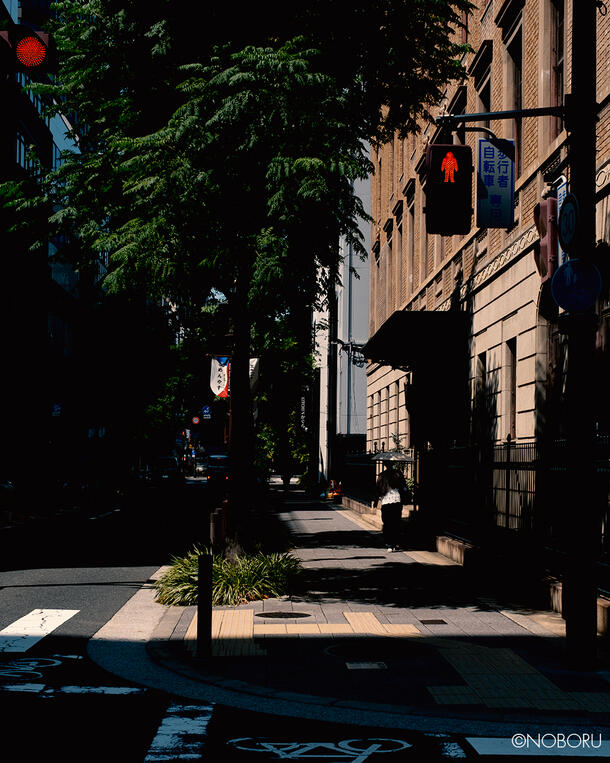 DSCF8206.jpg