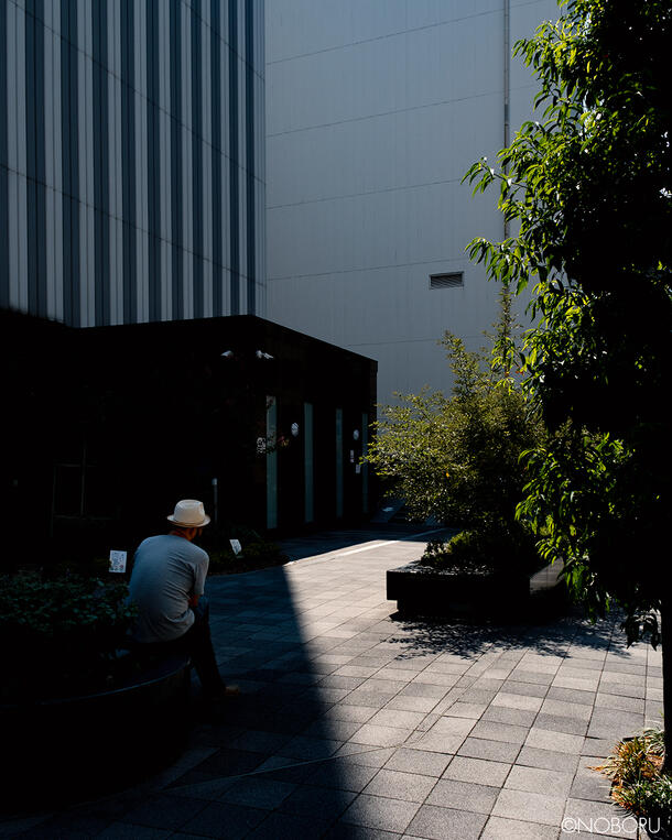 DSCF8316.jpg