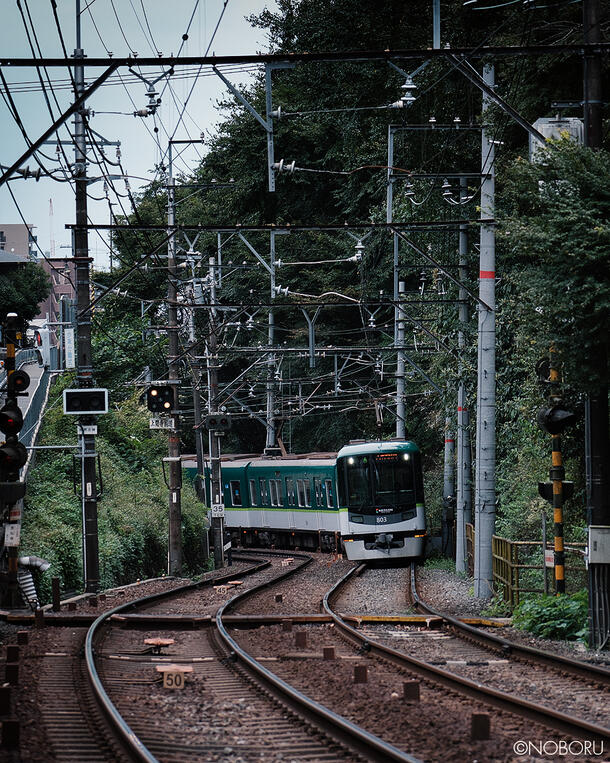 DSCF8928.jpg