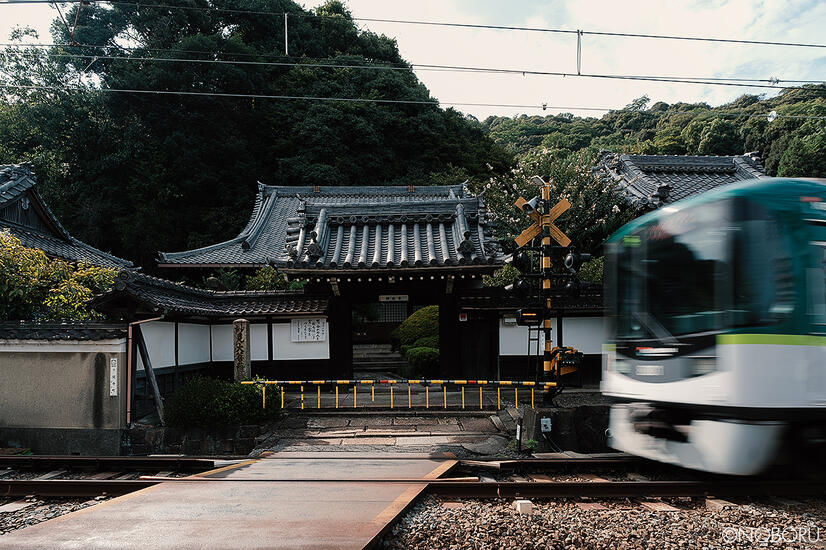 DSCF9023.jpg