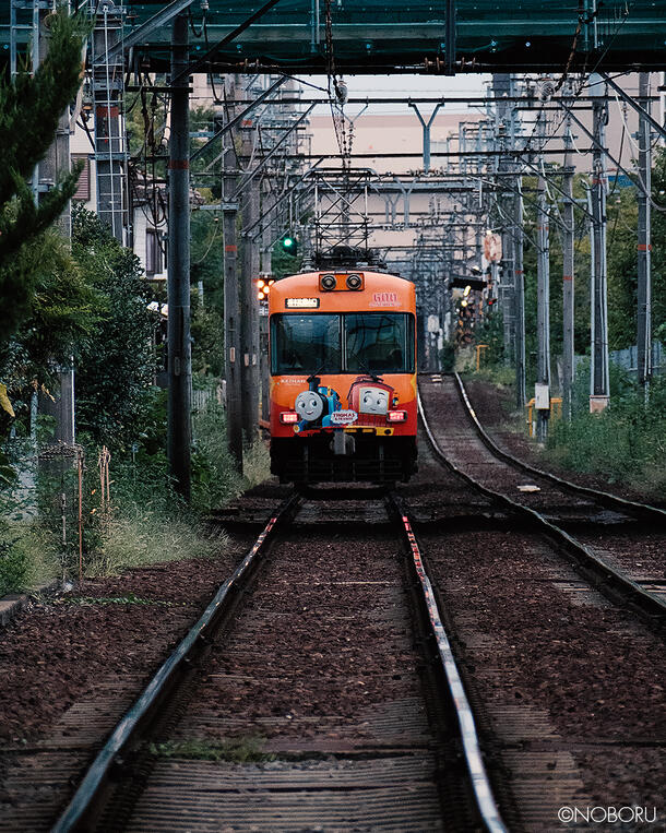 DSCF9249.jpg