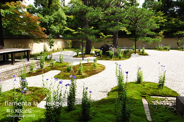 盧山寺「源氏の庭」